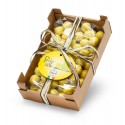 Limoncello flavored dragées in cardboard case